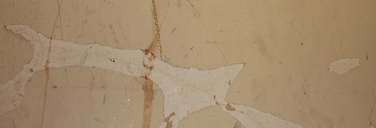 Paint Delamination & Failure