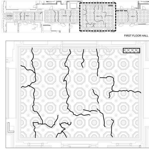 plaster conditions survey